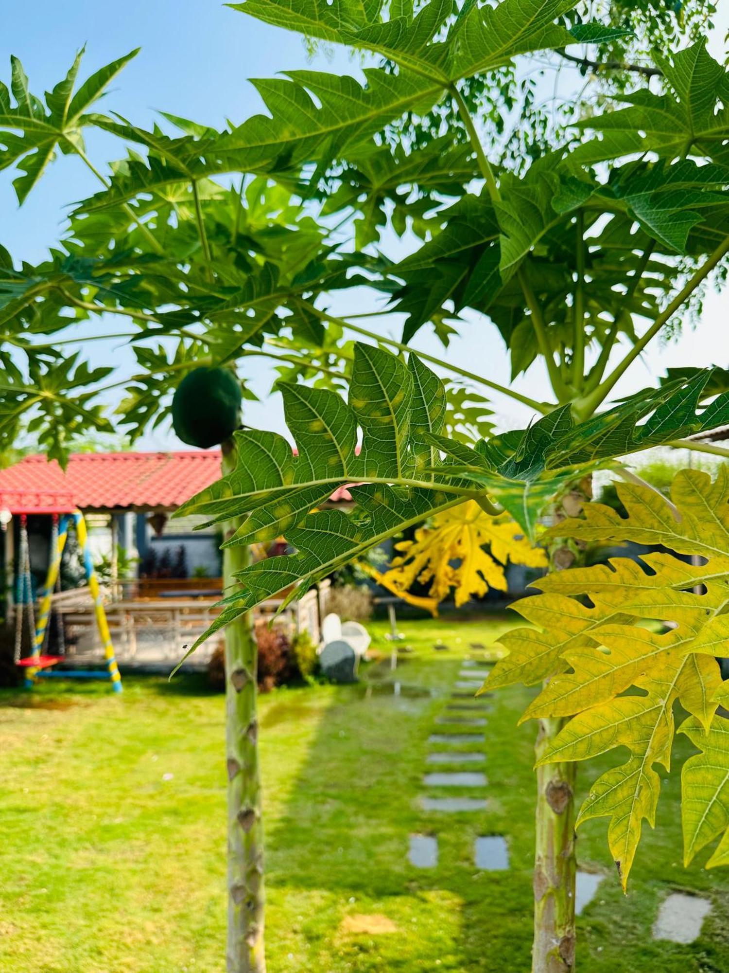 Pk Sahara Farm Stay Mysuru Zewnętrze zdjęcie